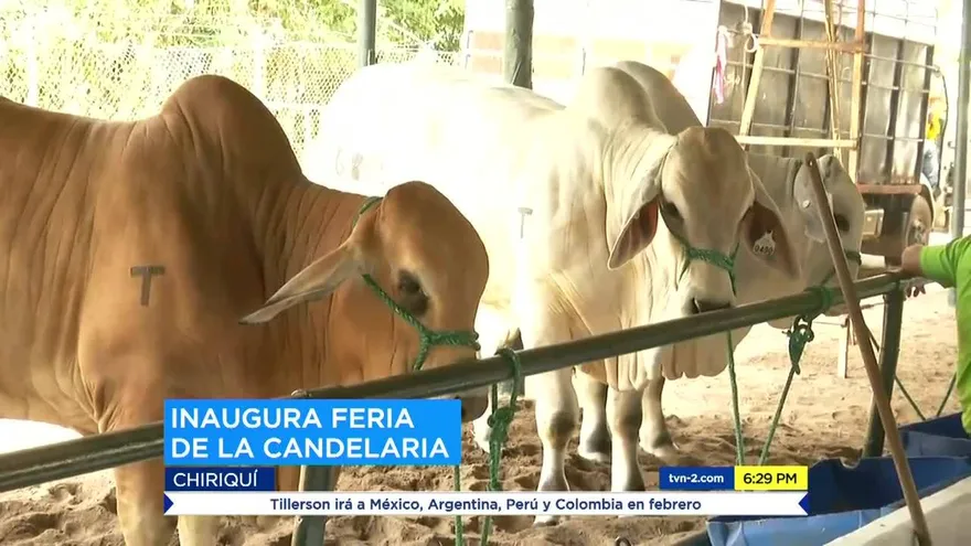 Inaugura la versión 59 de la Feria de la Candelaria