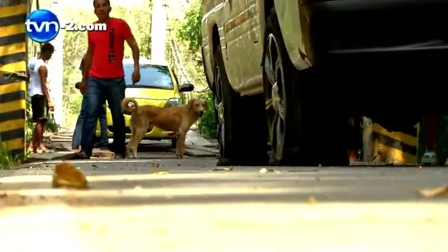 PUENTE TRAMPA DE MUERTE