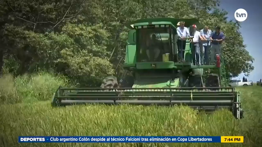 ¿Peligra nuestra comida?