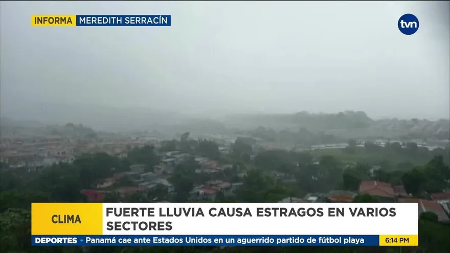 Caída de árboles y vías anegadas dejó las fuertes lluvias