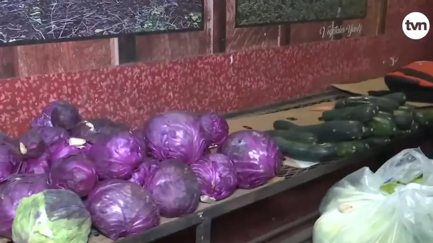 Escasean productos en Merca Panamá por cierre en Cerro Punta