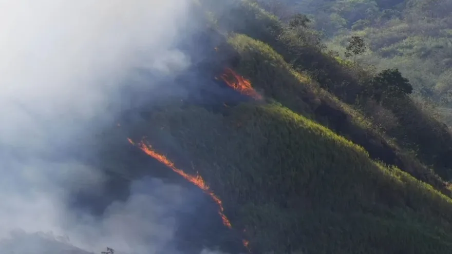 Incendio de masa vegetal en cerro La Cruz.