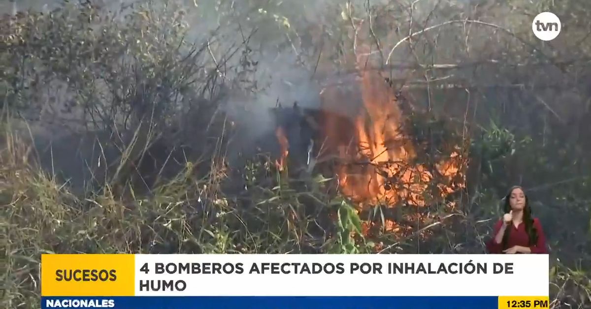 Incendio forestal: Cuatro bomberos afectados por inhalación de humo en ...