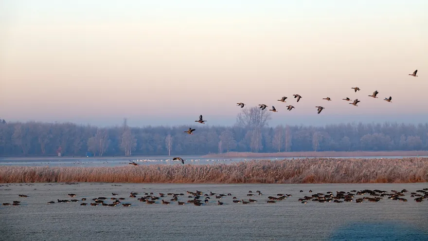 Imagen con fines ilustrativos