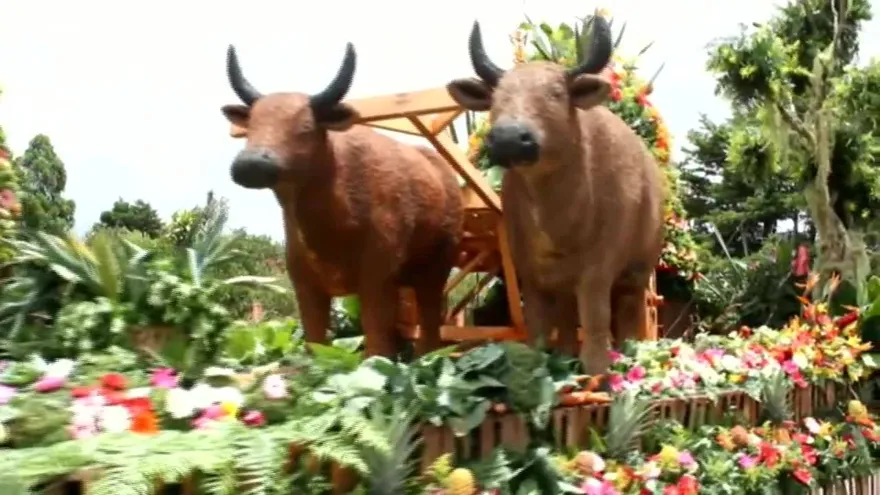 Más de 200.000 flores protagonizan la III Parada de las Flores en Panamá