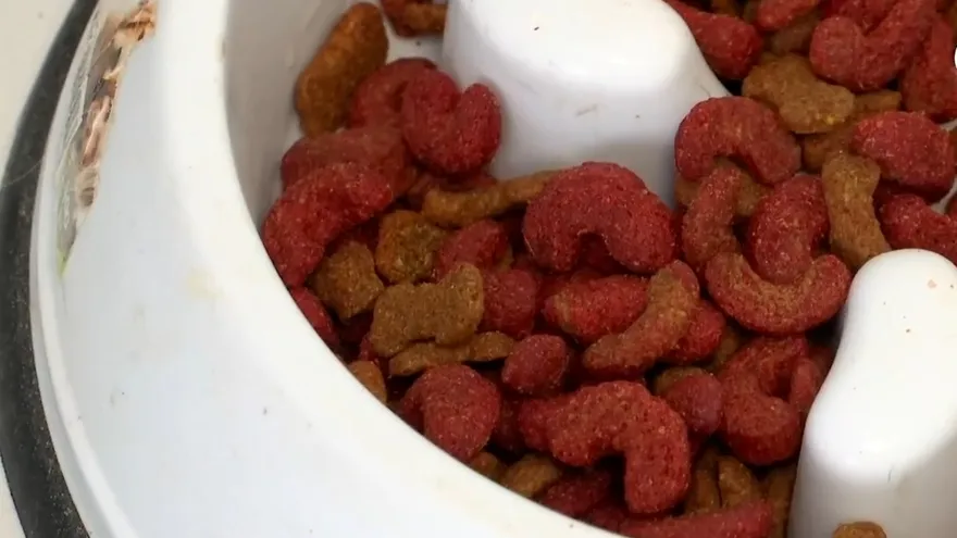 Aumenta el precio de alimentos de mascotas