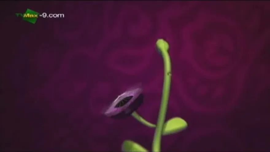 Eurocopa: Italia gan