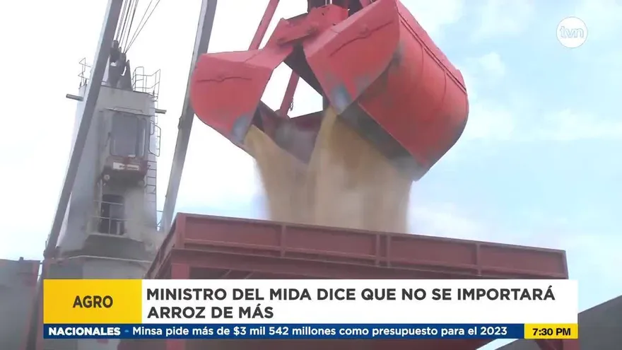 Ministro del MIDA dice que no se importará arroz de más
