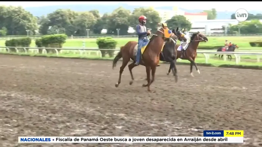 La hípica, uno de los deportes reactivados en Panamá