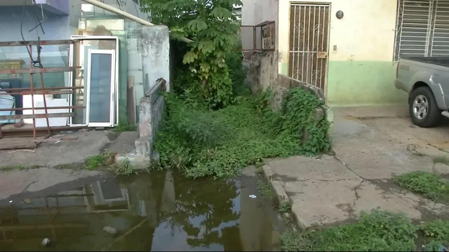 Registran primer caso de zika en Río Abajo