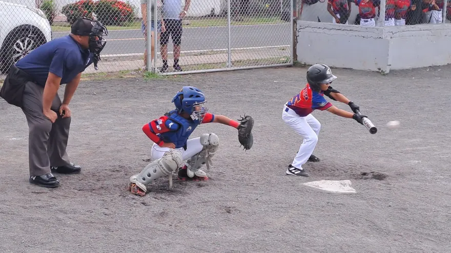 Torneo Sectorial Metropolitano de Béisbol Preinfantil
