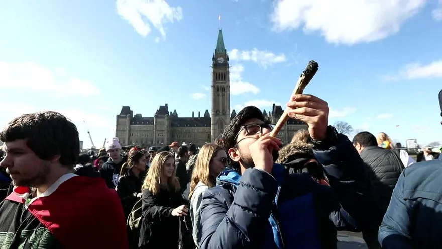 Parlamento canadiense aprueba proyecto para legalizar marihuana