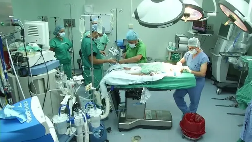 Discuten el tráfico de órganos humanos