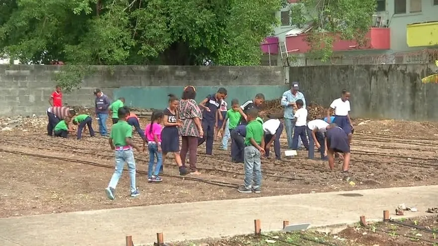 Niños cosecharon del huerto escolar en El Chorrillo
