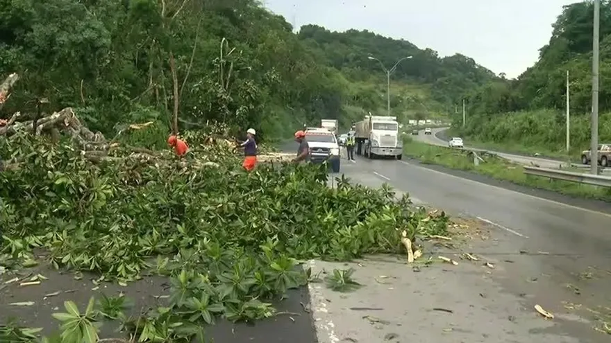 El peligro de los vientos