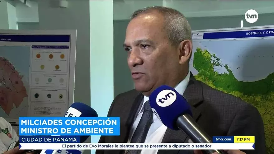 Panamá pierde ocho mil hectáreas de bosques por año