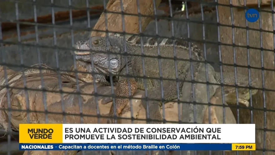 Mundo Verde: Zoocriaderos