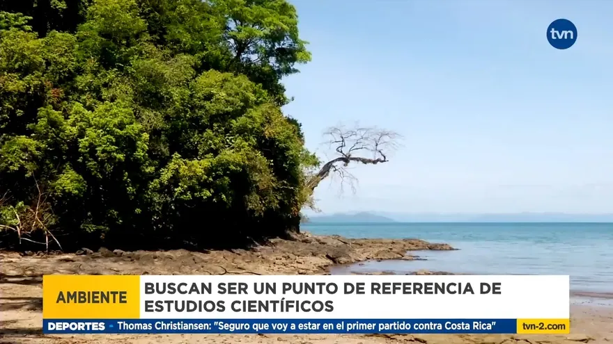 Investigaciones en Coiba sobre la diversidad marina