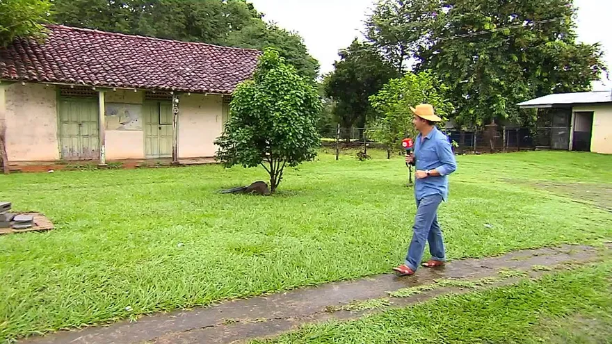 Panameño echao pa' lante: Luis Saenz