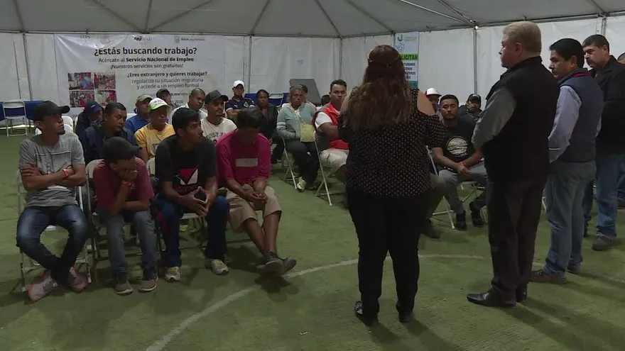 “Se busca obrero": Tijuana ofrece empleo a caravana migrante