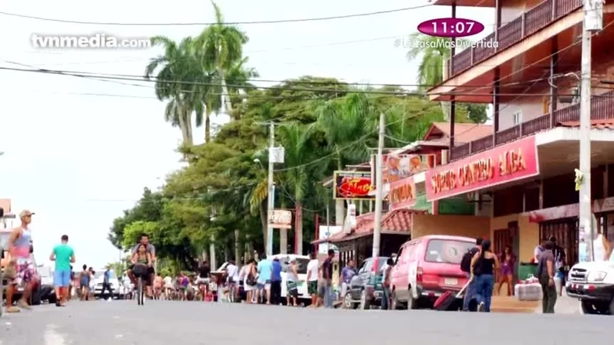 Reportaje - Bocas Red Frog