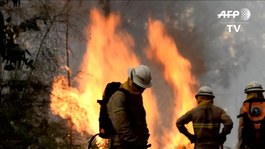 Portugal y Francia refuerzan tareas para controlar incendios