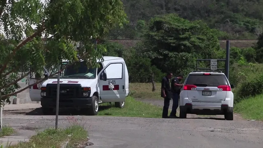 242 cadáveres hallados tras meses de búsqueda en fosas de México.