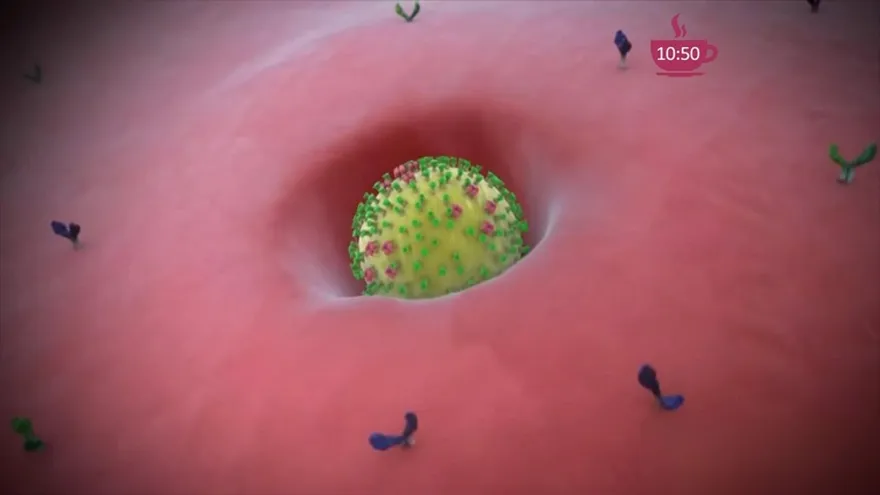 ¡Atención! Cuidado con el Virus AH1N1