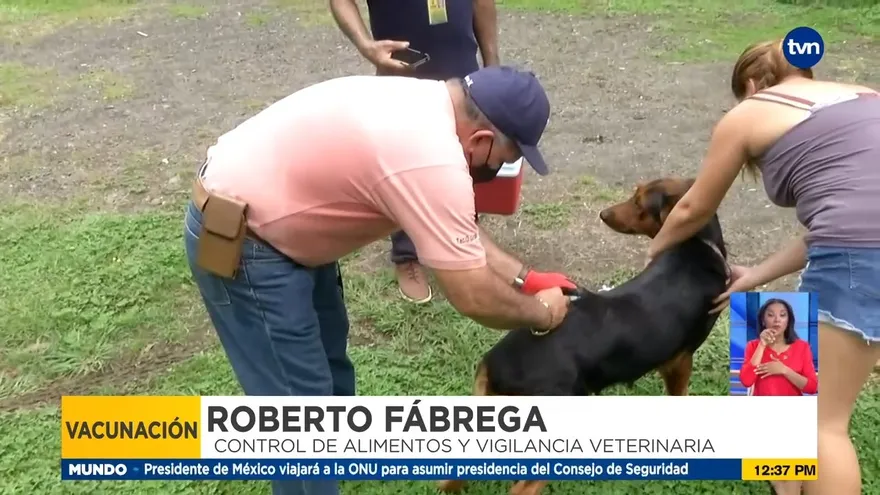Más de mil mascota han sido vacunados contra la rabia en dos corregimientos en Veraguas