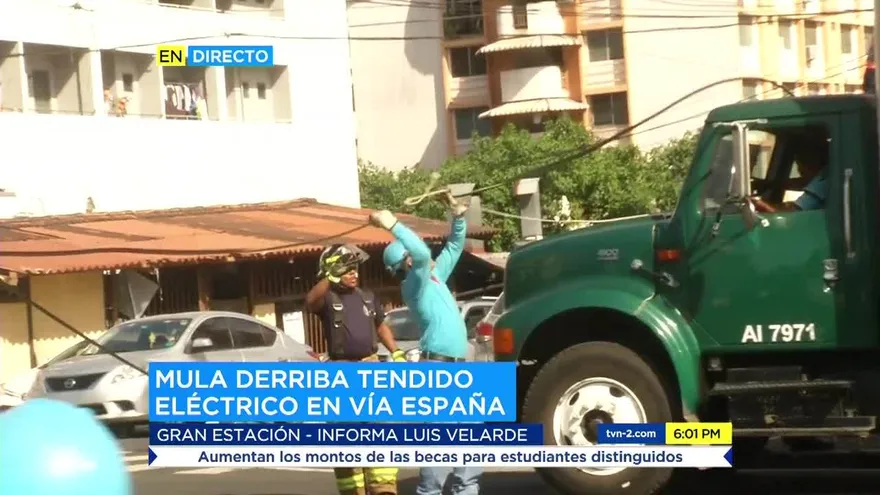 Mula derriba tendido eléctrico en vía España