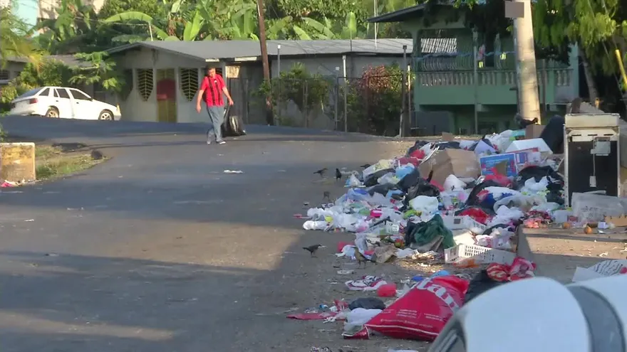 Piden trabajo comunitario para quien tire basura en las calles