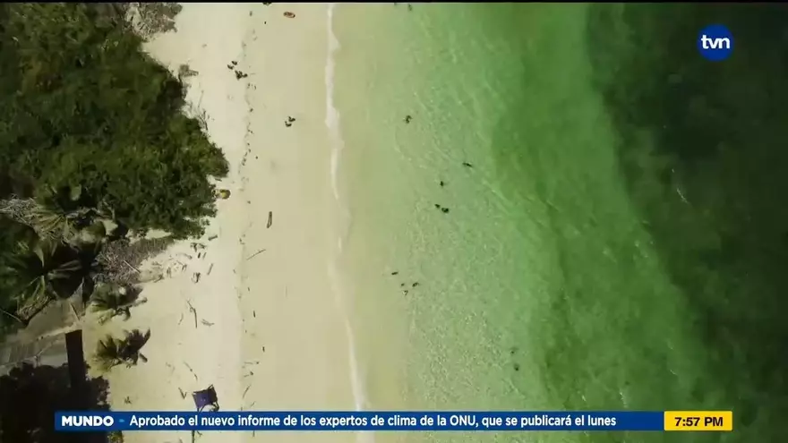 Mundo Verde: Pedasí biodiverso
