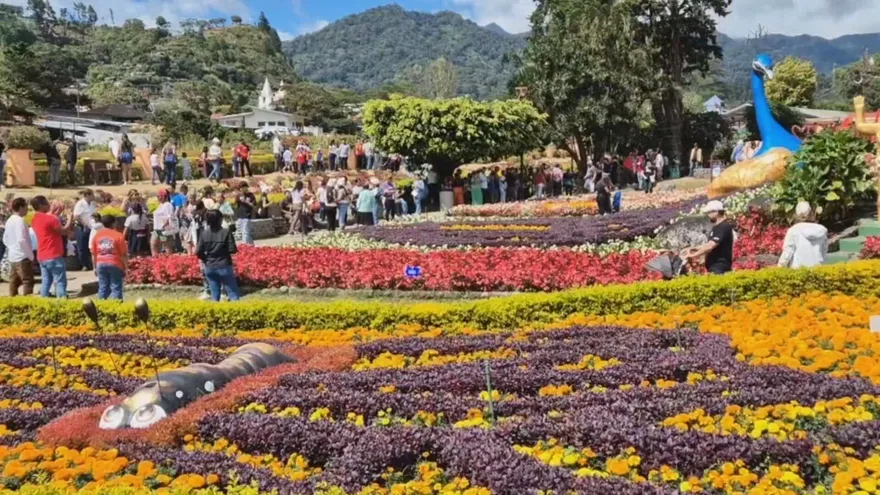 Todo listo para la Feria Internacional de las Flores y el Café