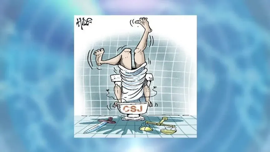 Bloque 8: Conclusiones y caricatura