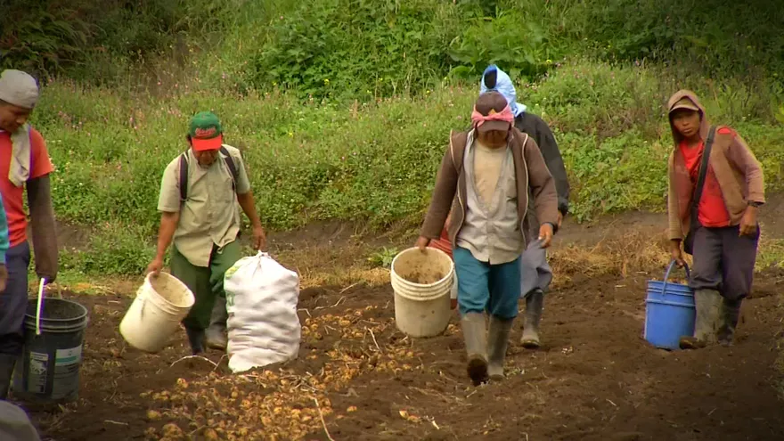 Agricultores preocupados por importaciones y falta de apoyo al sector