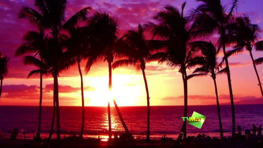 Hawaii Five-0 los martes a las 9.00 pm