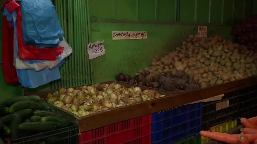 Escasez de cebolla provoca aumento del producto