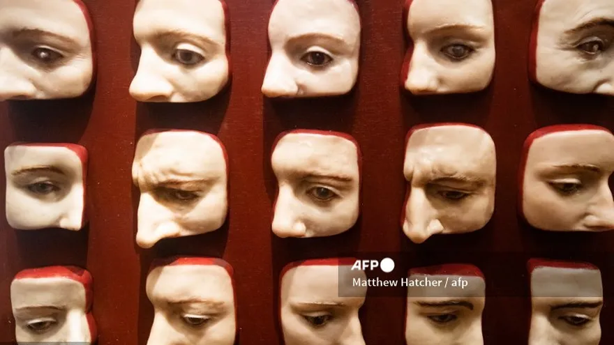 Modelos de cera de diversas enfermedades oculares en la Biblioteca Histórica de Medicina del Museo Mütter, en Filadelfia