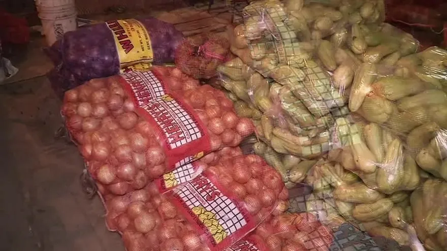 Se mantiene precio de la cebolla importada