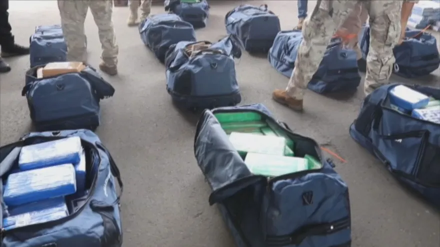 Estamentos de seguridad dan duros golpes al narcotráfico