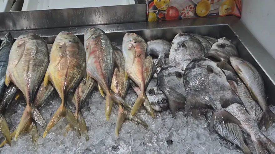 Miércoles y viernes, los días más movidos para los vendedores de pescado.