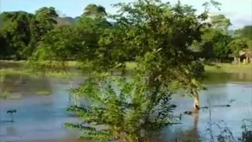 Inundaciones tras desbordamiento del río Tonosí