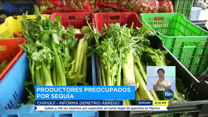 Fuerte estación seca afecta producción de hortalizas