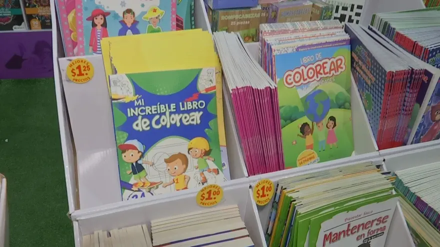 Book Fair: What Are Young People Looking For?