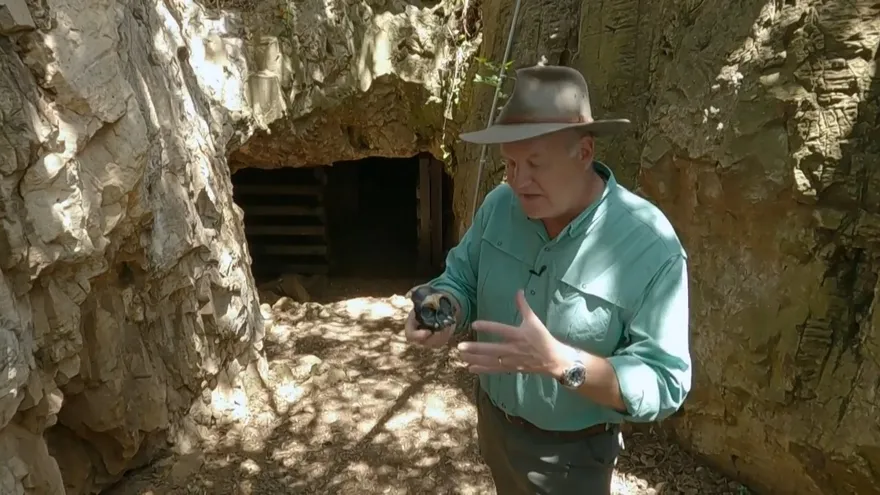 Fósiles hallados en Sudáfrica reabren el misterio de los lejanos primos del hombre