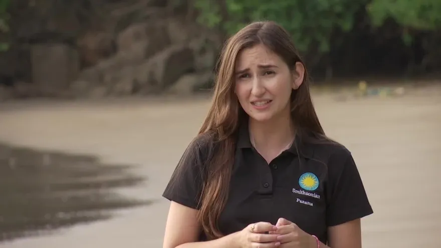 Peligros que enfrentan las microalgas