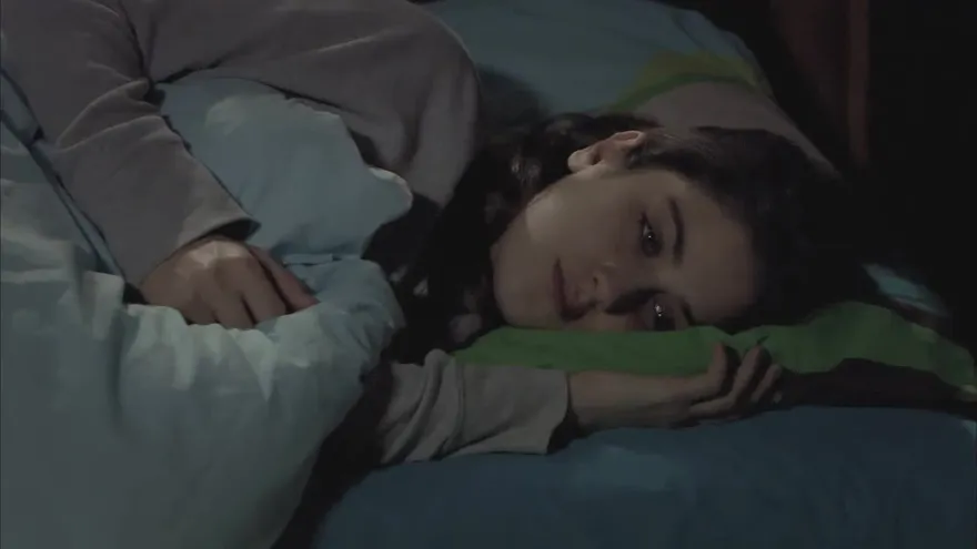 El Secreto de Feriha Capítulo 87