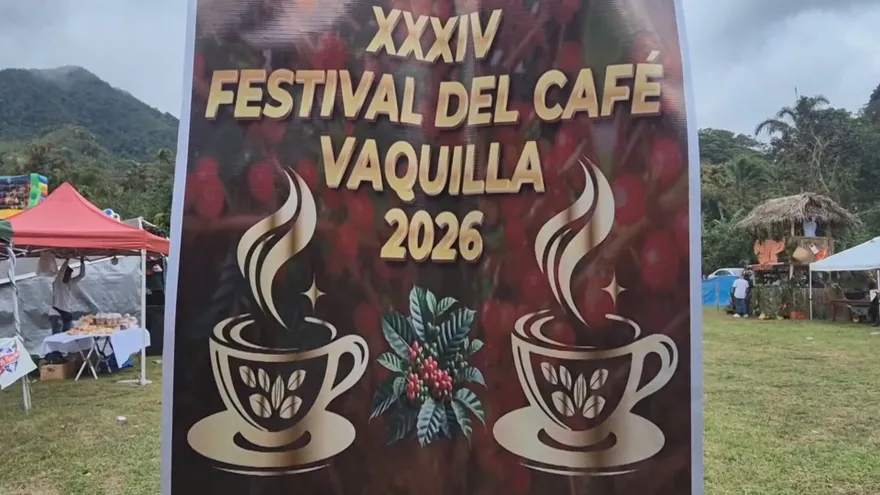 Festival del Café en Chiguirí Arriba: 34 años de tradición y sabor en las montañas de Coclé