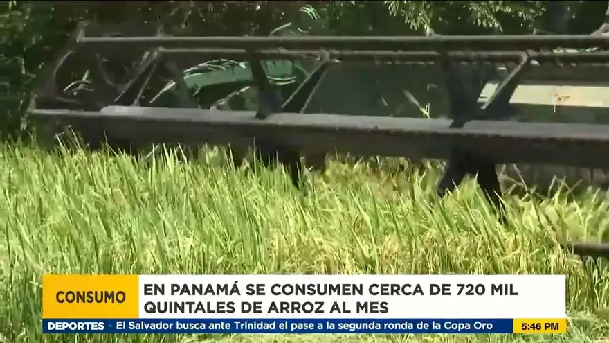 ¿Aumentará el arroz para los consumidores ante exigencia de productores?