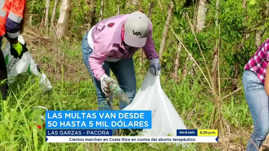 Recolectan casi 40 toneladas de basura en Las Garzas